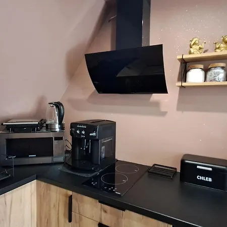 Apartment Pudrovy